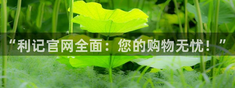 蓝狮娱乐平台官网版下载