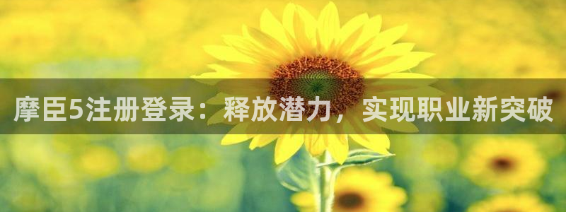 蓝狮在线平台怎么样：摩臣5注册登录：释放潜力，实现职业新突破