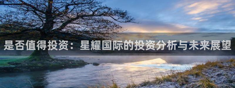 壹号大舞台28国际大舞台：是否值得投资：星耀国际的投资分析与未来展望