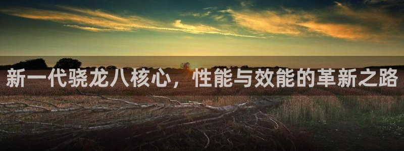 蓝狮娱乐平台官方入口下载：新一代骁龙八核心，性能与效能的革新之路