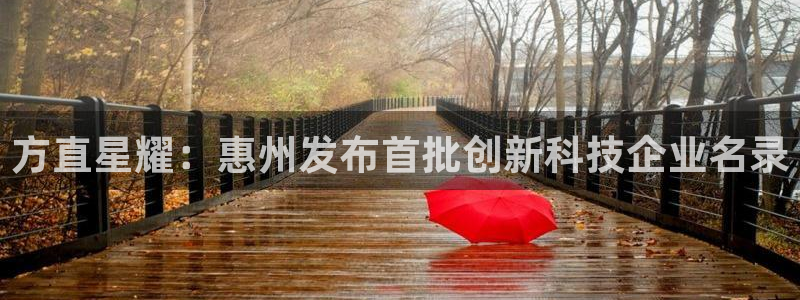 蓝狮开户：方直星耀：惠州发布首批创新科技企业名录