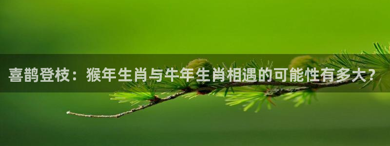 蓝狮娱乐app下载安装最新版：喜鹊登枝：猴年生肖与牛年生肖相遇的可能性有多大？