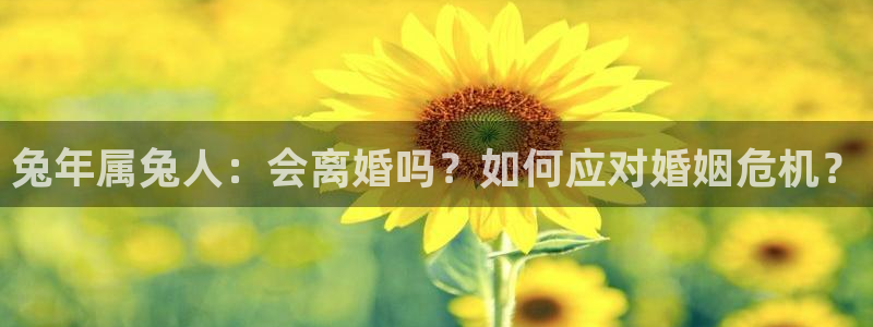 壹号大舞台官网：兔年属兔人：会离婚吗？如何应对婚姻危机？