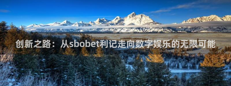 壹号大舞台怎么注册：创新之路：从sbobet利记走向数字娱乐的无限可能
