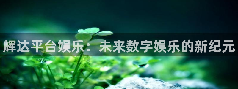 蓝狮娱乐下载入口：辉达平台娱乐：未来数字娱乐的新纪元