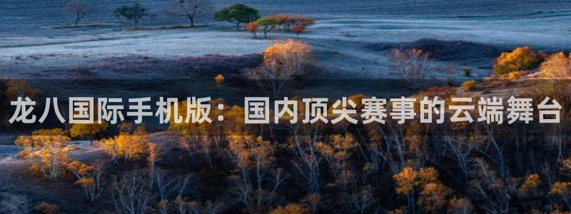 蓝狮娱乐quan28.cc：龙八国际手机版：国内顶尖赛事的云端舞台