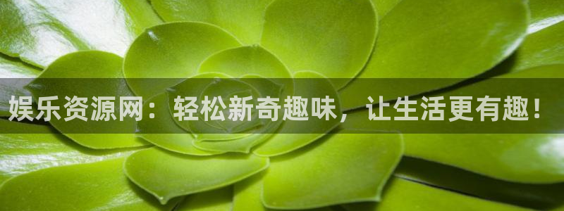 蓝狮在线入口：娱乐资源网：轻松新奇趣味，让生活更有趣！
