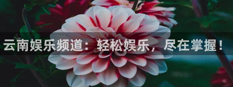 蓝狮娱乐充值怎么退款：云南娱乐频道：轻松娱乐，尽在掌握！