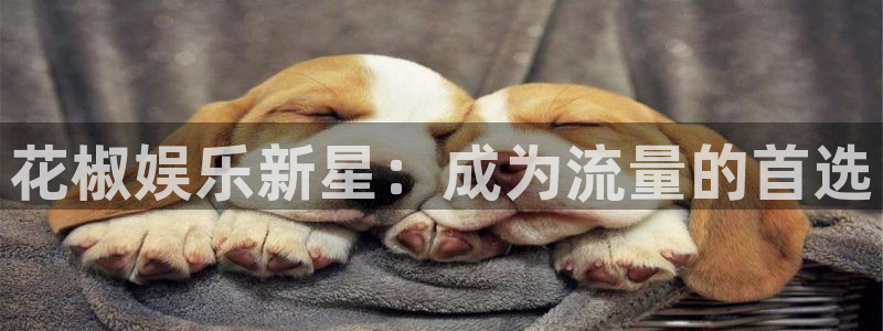 南宫蓝狮娱乐官网版：花椒娱乐新星：成为流量的首选