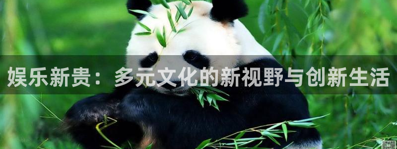 蓝狮在线官网：娱乐新贵：多元文化的新视野与创新生活
