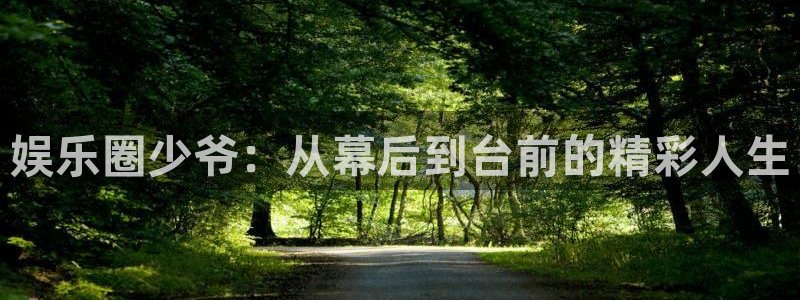 蓝狮娱乐下载二维码：娱乐圈少爷：从幕后到台前的精彩人生