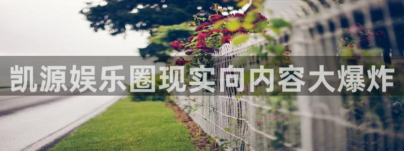 壹号app官网：凯源娱乐圈现实向内容大爆炸