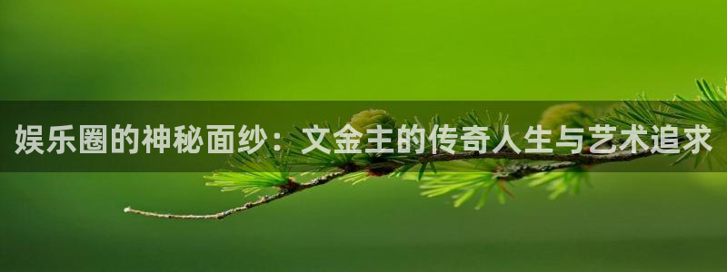 蓝狮娱乐官网入口：娱乐圈的神秘面纱：文金主的传奇人生与艺术追求