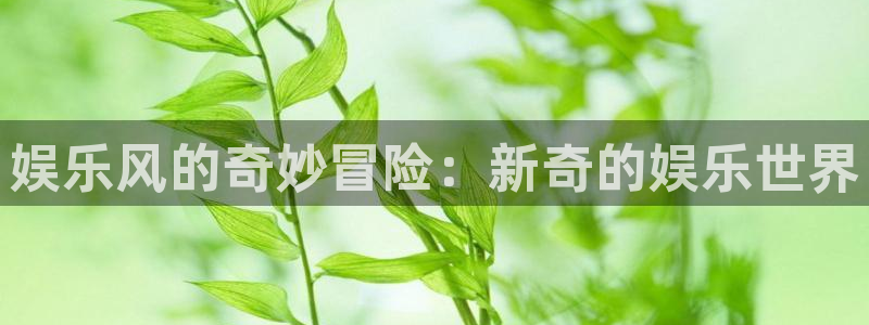 蓝狮在线官网注册账号：娱乐风的奇妙冒险：新奇的娱乐世界