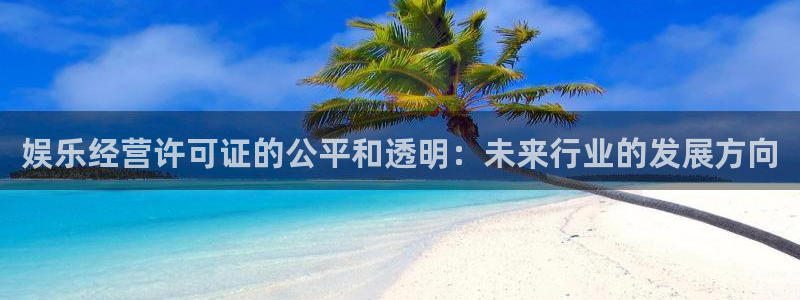 蓝狮在线平台注册：娱乐经营许可证的公平和透明：未来行业的发展方向