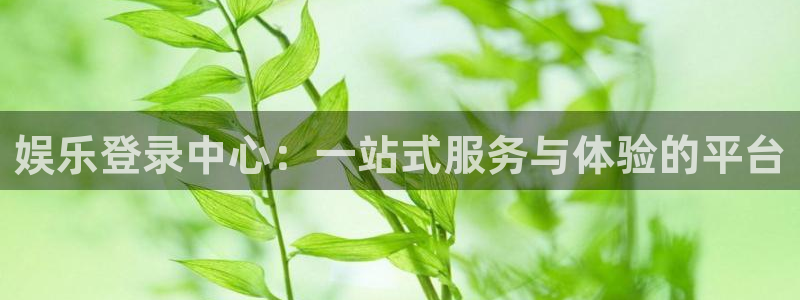 壹号app官网版下载：娱乐登录中心：一站式服务与体验的平台
