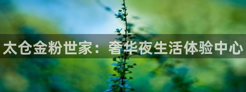 蓝狮在线注册地址：太仓金粉世家：奢华夜生活体验中心
