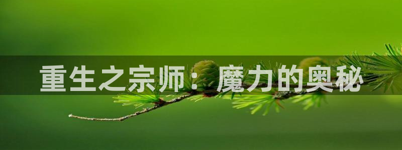 蓝狮娱乐网址：重生之宗师：魔力的奥秘