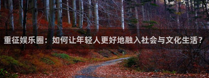 壹号大舞台官网入口：重征娱乐圈：如何让年轻人更好地融入社会与文化生活？