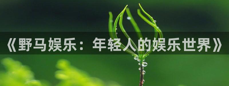 壹号电子娱乐app下载：《野马娱乐：年轻人的娱乐世界》