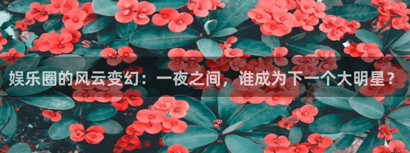 蓝狮娱乐ccmpc