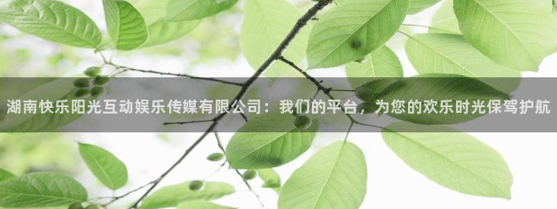 蓝狮娱乐注册网站app：湖南快乐阳光互动娱乐传媒有限公司：我们的平台，为您的欢乐时光保驾护航