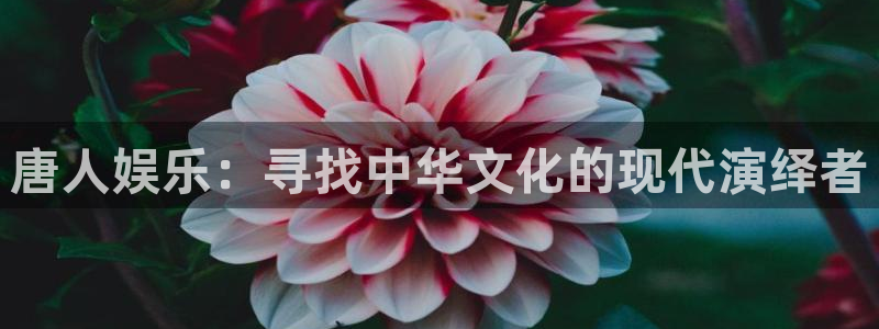 壹号app下载链接：唐人娱乐：寻找中华文化的现代演绎者