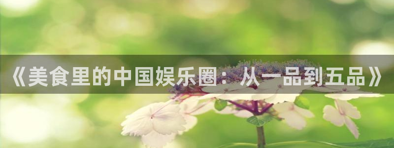 蓝狮娱乐.ccmpc正版：《美食里的中国娱乐圈：从一品到五品》