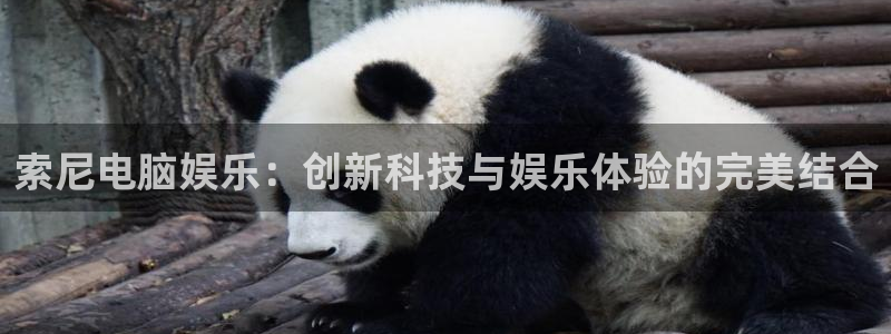 蓝狮娱乐app注册地址：索尼电脑娱乐：创新科技与娱乐体验的完美结合