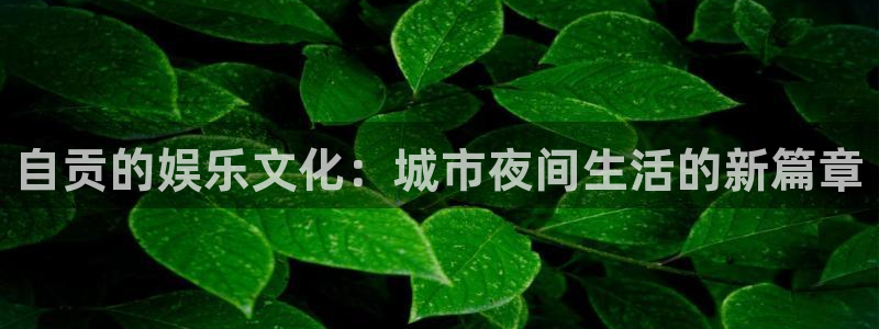 蓝狮娱乐下载入口：自贡的娱乐文化：城市夜间生活的新篇章