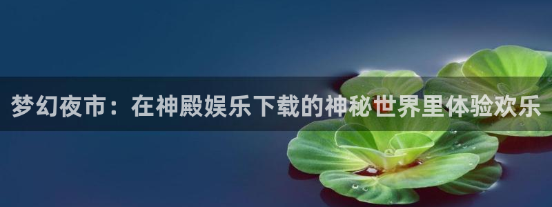 蓝狮娱乐.ccm苹果版：梦幻夜市：在神殿娱乐下载的神秘世界里体验欢乐